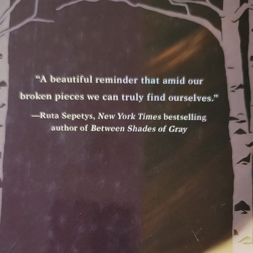 Faking Normal Hardcover Book - Picture 2 of 2